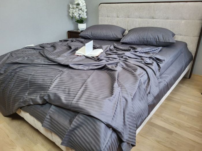 Stripe LUX GRAY SHADOW 1/1см (Полуторний)