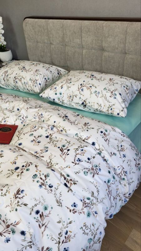 Сієста, cotton (Полуторний)