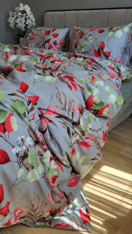 Евкаліпт, cotton (Полуторний)