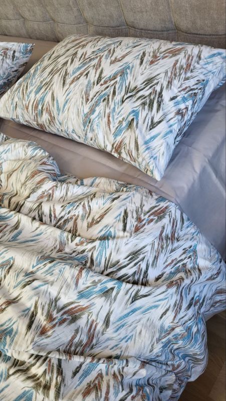 Франт, cotton (Полуторний)