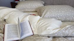 Provence beige, cotton нав 50*70см (Євро)