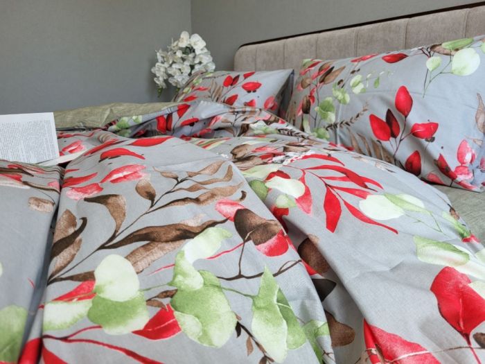 Евкаліпт, cotton (Полуторний)