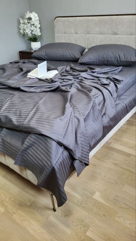 Stripe LUX GRAY SHADOW 1/1см (Полуторний)