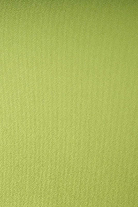 Рулонна штора Перла закритого типу Салатовий