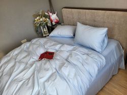 Блакитний, Turkish flannel (Полуторний)