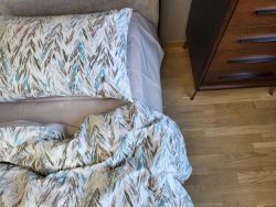 Франт, cotton (Полуторний)