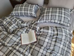 Сатин PREMIUM, EVEREST (Полуторний)