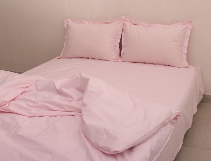 Комплект постільної білизни євро наволочки 50*70см Ранфорс R-T9119