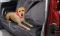 Подстилка непромокаемая для собак в машину PETS AT PLAY
