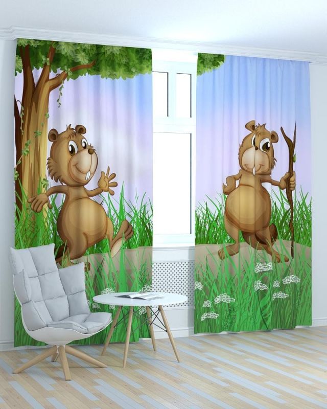 Фотоштори DECOLIV Дитячі Принт 01-029 Блекаут