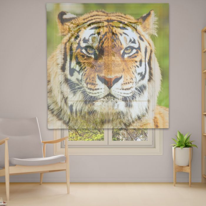 Римська штора DECOLIV Фотопечать  Тюль  230*170