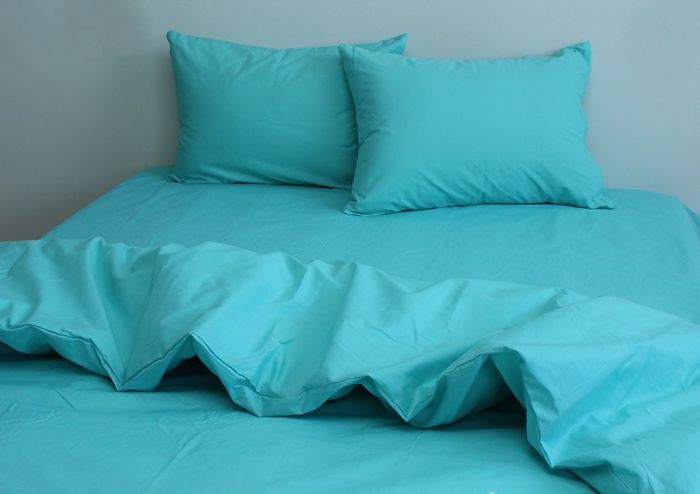 Комплект постільної білизни Ранфорс Mint Leaf