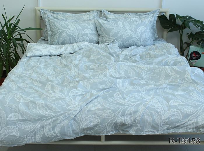 Комплект постільної білизни двоспальний Ранфорс R-T9153