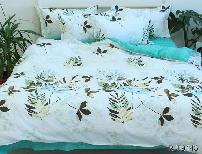 Комплект постільної білизни Ранфорс R-T9143