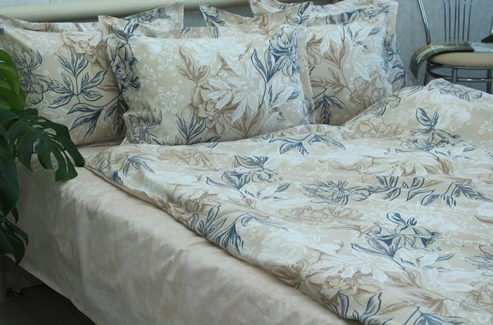 Комплект постільної білизни наволочки 50*70см Ранфорс R-T9267