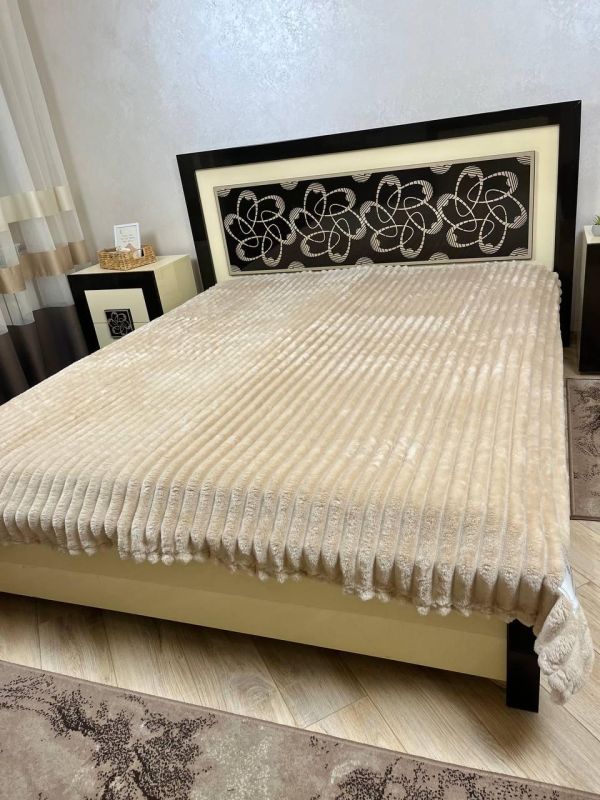 Плед Королівська смужка Шарпей Colorful Home DR-2