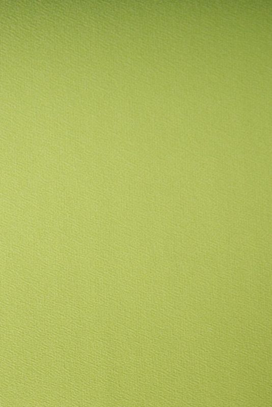 Римські штори DECOLIV з ланцюжковим карнизом Перла салатовий