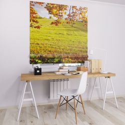 Римська штора з фотодруком поле