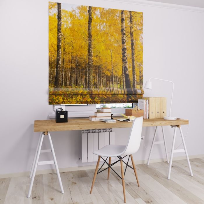 Римська штора з фотодруком берези восени