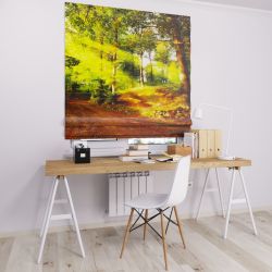 Римська штора DECOLIV природа с солнцем