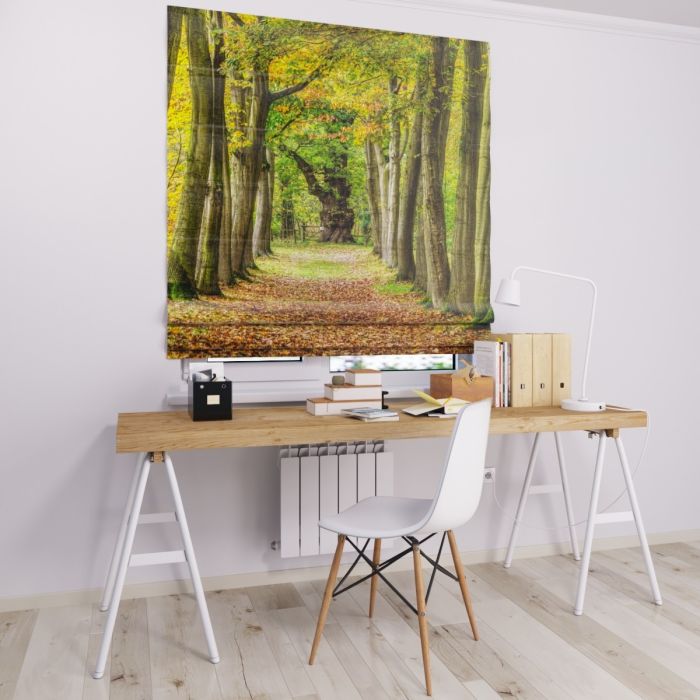 Римська штора з ланцюжковим карнизом стежка