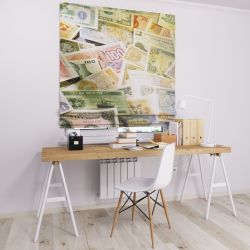 Римська штора DECOLIV  гроші