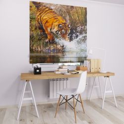 Римська штора DECOLIV тигр