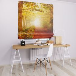 Римська штора DECOLIV осенний день