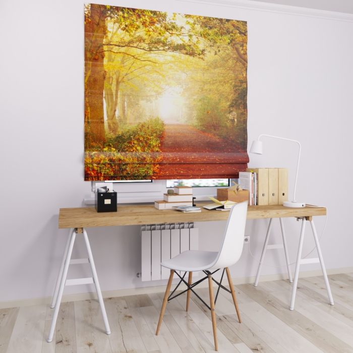 Римська штора з ланцюжковим карнизом осінній день