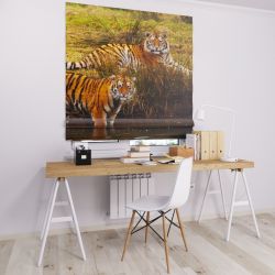 Римська штора з фотодруком тигри