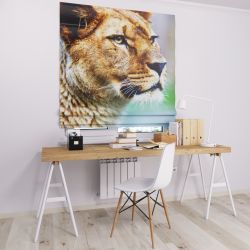 Римська штора DECOLIV тигрица