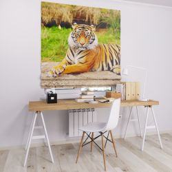 Римська штора з фотодруком великий тигр