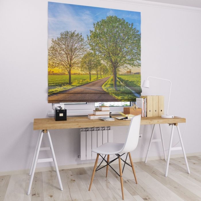 Римська штора з фотодруком дерева