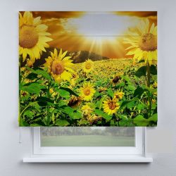 Римська штора DECOLIV подсолнухи