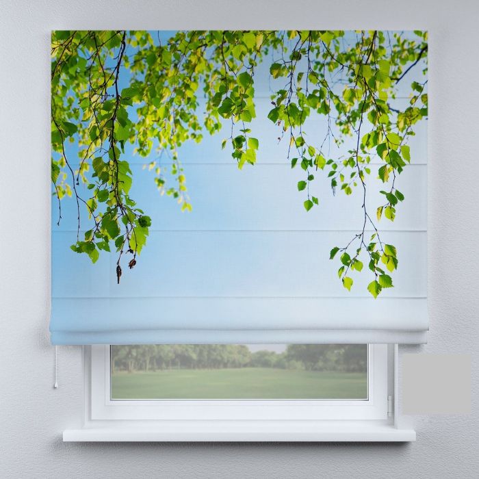 Римська штора DECOLIV листья на фоне неба