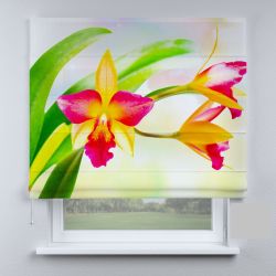 Римська штора з фотодруком квітка велика різнокольорова