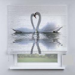 Римська штора DECOLIV лебеди