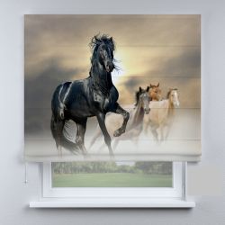 Римська штора DECOLIV лошади