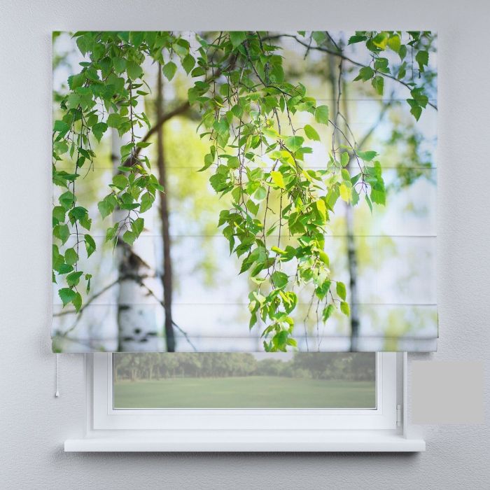 Римська штора DECOLIV листья березы