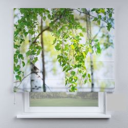 Римська штора з ланцюжковим карнизом листя берези