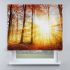 Римська штора з фотодруком осінній ліс