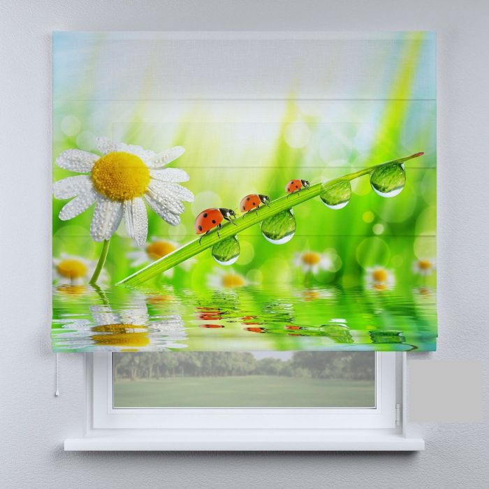 Римська штора з фотодруком ромашка