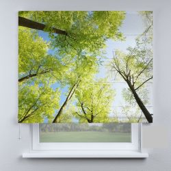 Римська штора з ланцюжковим карнизом весняний ліс
