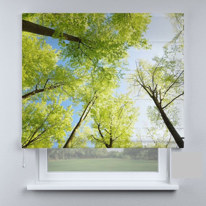 Римська штора з фотодруком весняний ліс