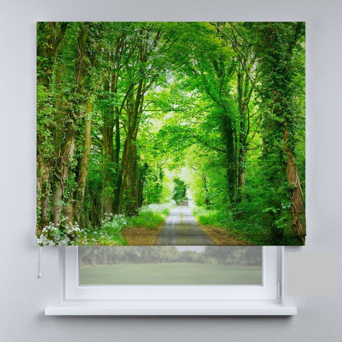 Римська штора DECOLIV летний лес