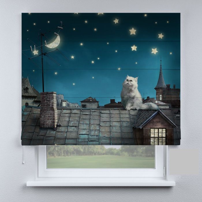 Римська штора DECOLIV ночное небо с котом