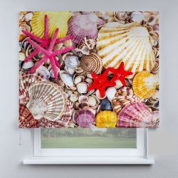 Римська штора з ланцюжковим карнизом морські мушлі