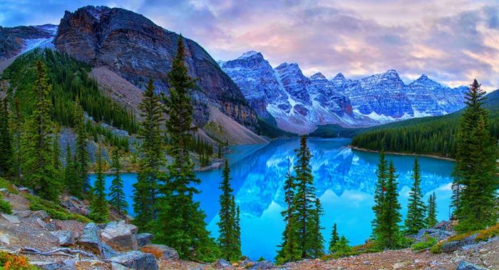 Римська штора DECOLIV Фотопечать Природа  Блэкаут 280*170