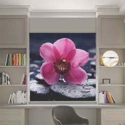 Римська штора з ланцюжковим карнизом Фотодрук Квітка Блекаут