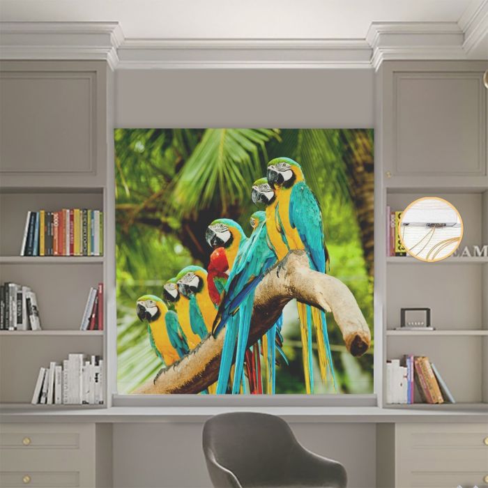 Римська штора DECOLIV Фотопечать Попугаи  Блэкаут 220*170